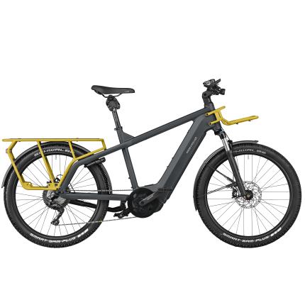 Riese &amp; Müller Multicharger